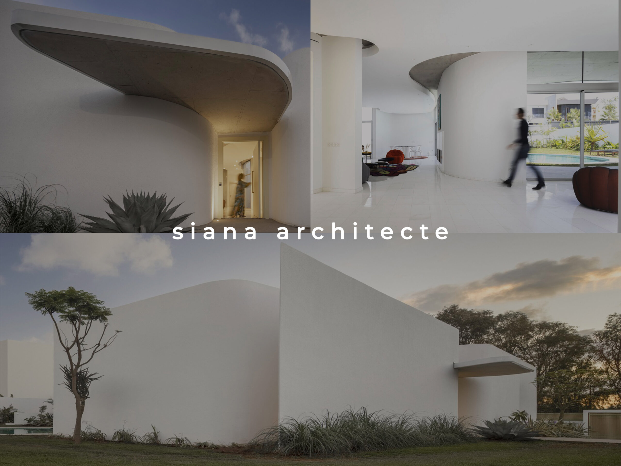 Read more about the article siana architecte