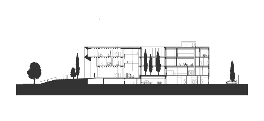 02-_Transversal_Section