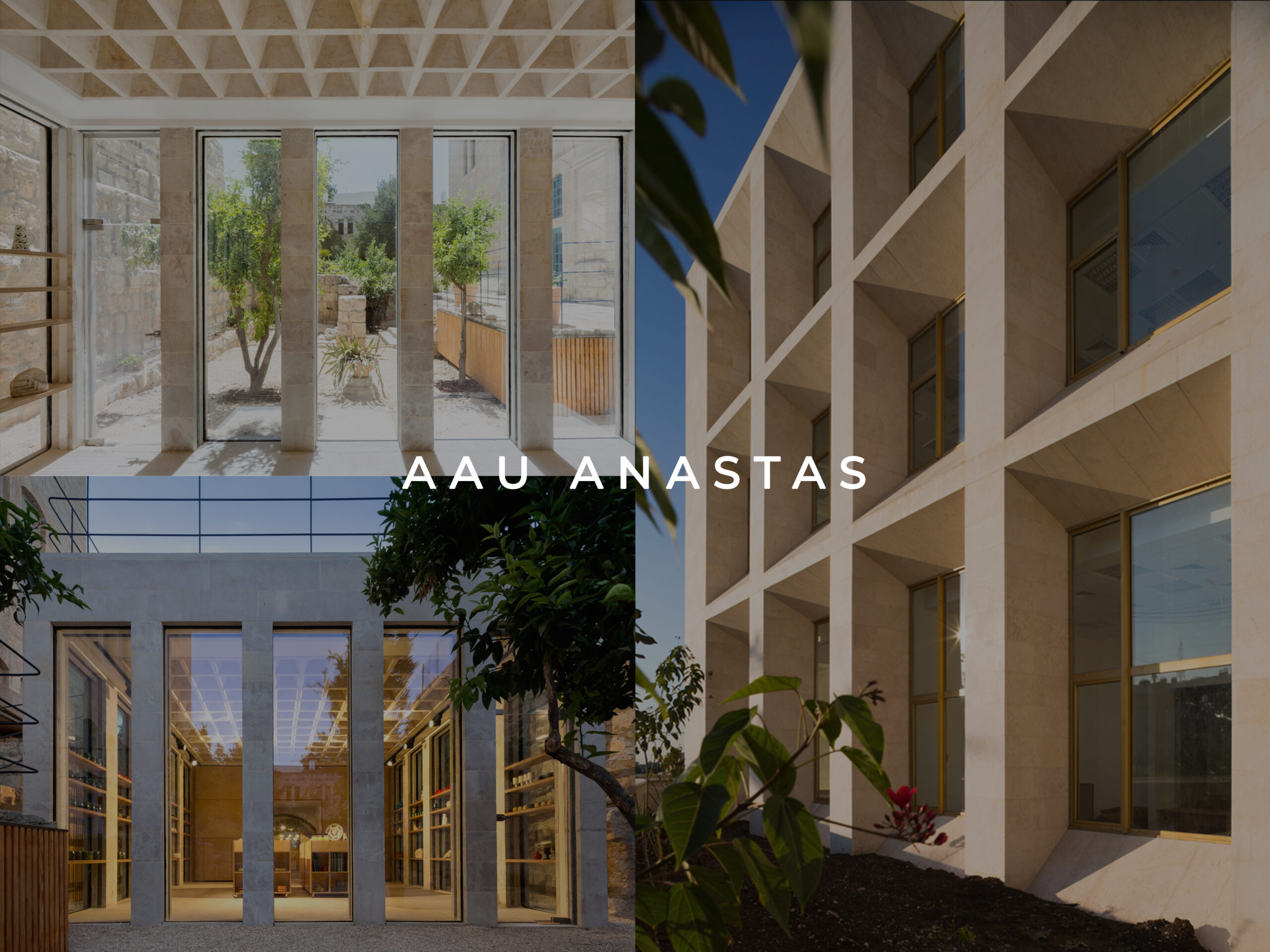 Read more about the article AAU ANASTAS