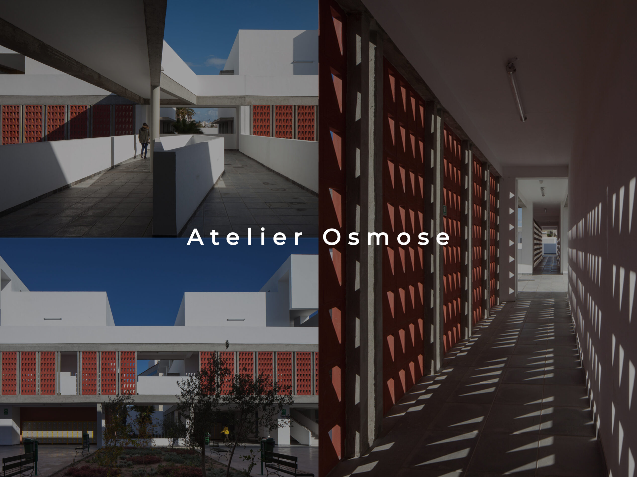 Read more about the article Atelier Osmose