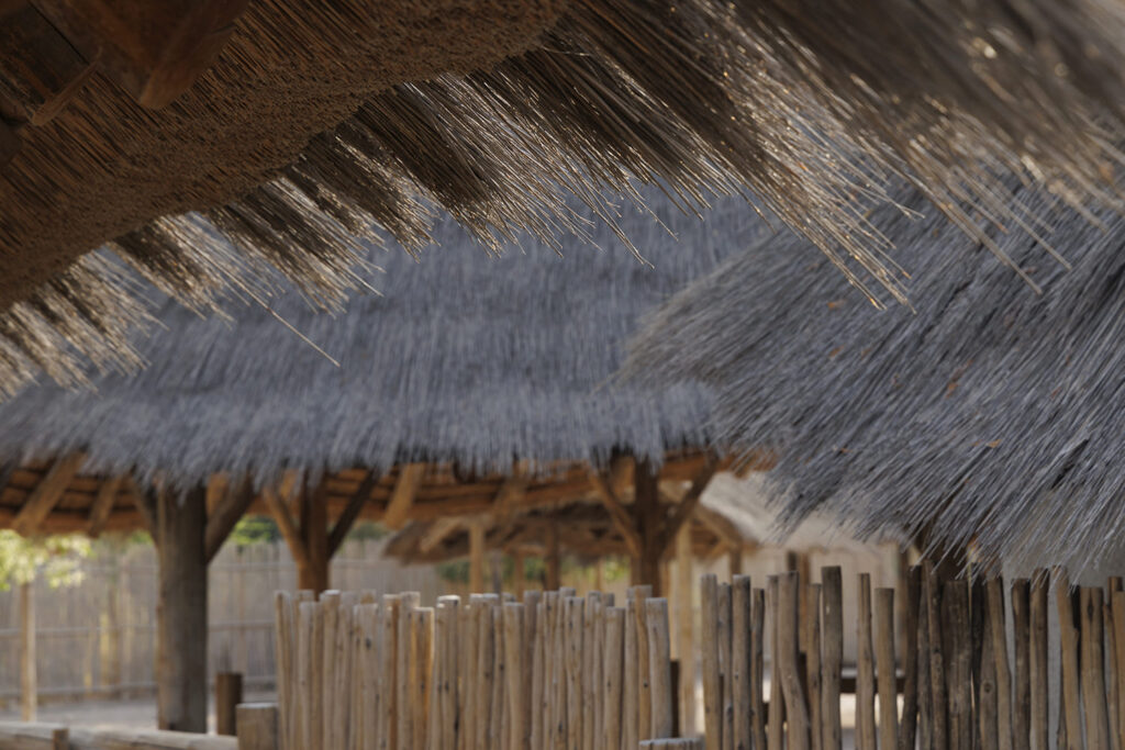 Sharjah-Bridi-Park-Urko-Sanchez-Architects-10