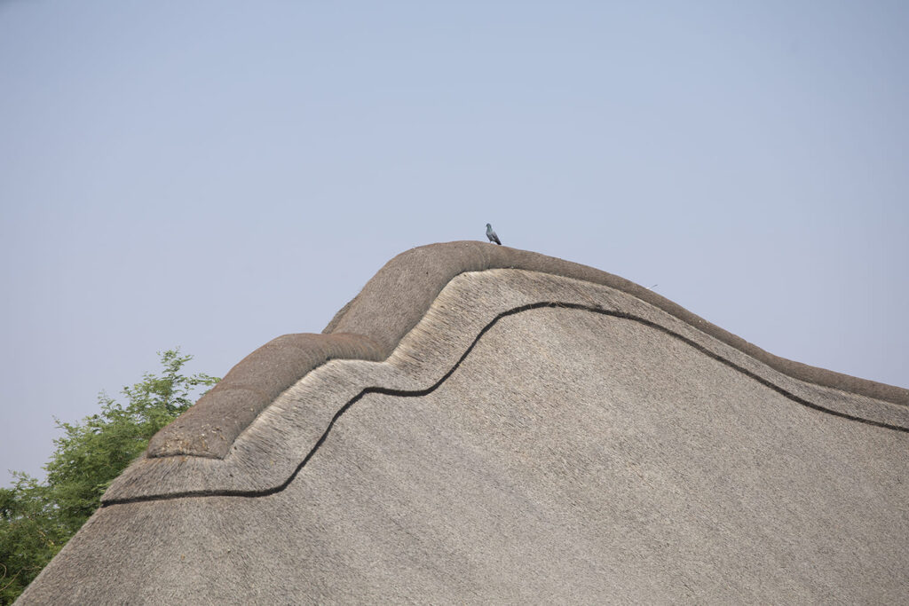 Sharjah-Bridi-Park-Urko-Sanchez-Architects-23