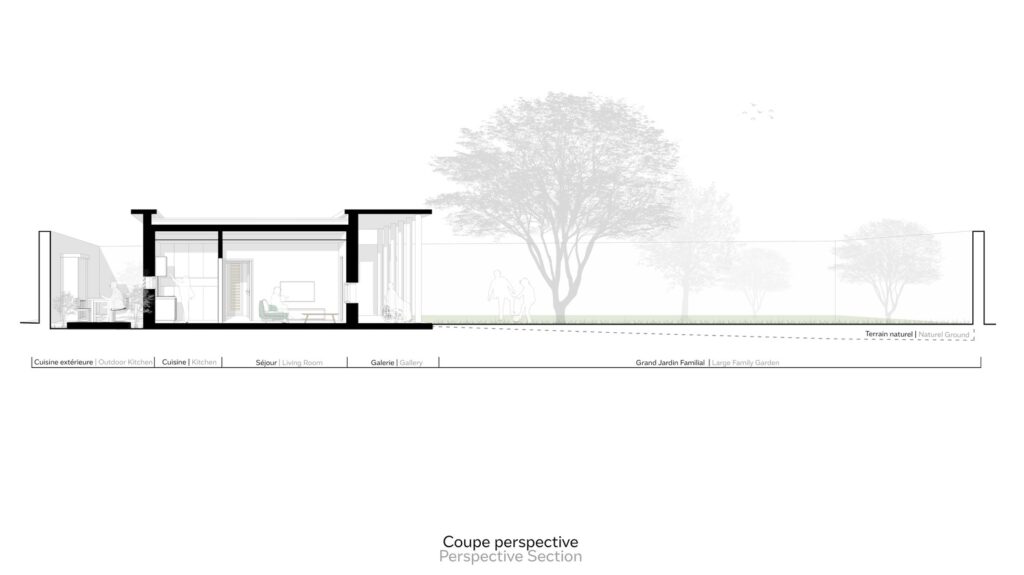 04-perspective-section-4